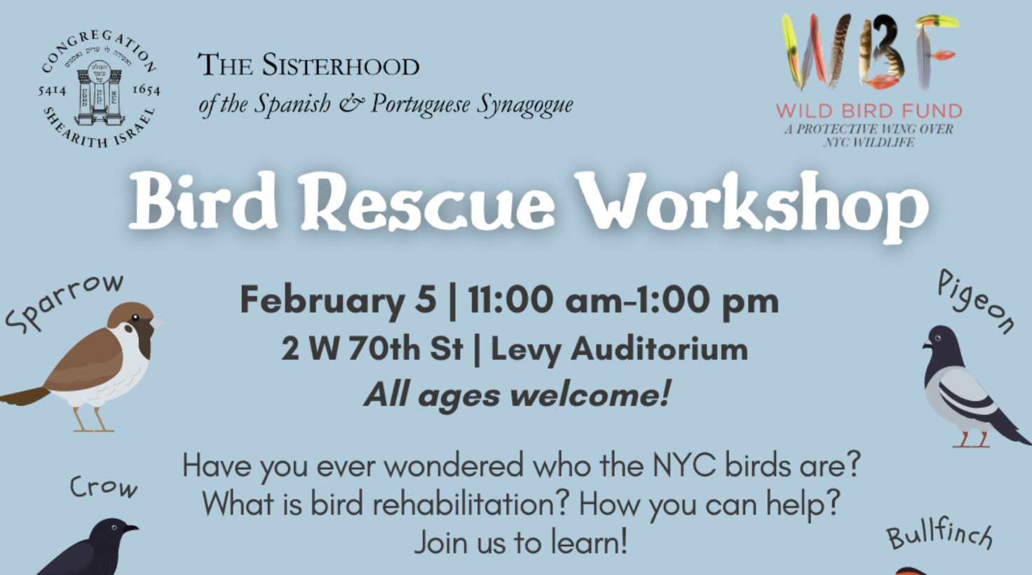 Bird Rescue Workshop