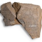 Rabbi Soloveichik Presents: The Tel Dan Stele at the Jewish Museum