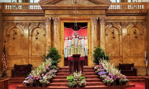 sanctuary-2
