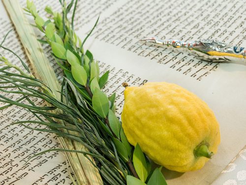 Torah parchment, the Hebrew, the Jewish holiday of Sukkot, the lulav, a special bouquet